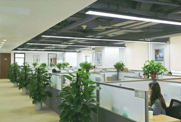 Beijing Xingyuyang Trading Co., Ltd.