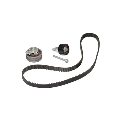 21SKV004 Objet du remplacement/réparation du kit de ceinture à chaîne de réglage du moteur pour VW Audi 04E198119A