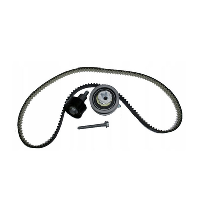 21SKV004 Objet du remplacement/réparation du kit de ceinture à chaîne de réglage du moteur pour VW Audi 04E198119A