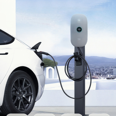 Station de recharge AC EV montée au sol avec une prise de type 2 en option pour voiture électrique
