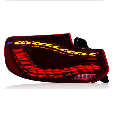 Mettez à niveau votre BMW Série 2 avec Dragon Scale Running Dynamic Led Rear Lights Assembly